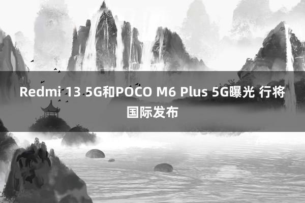 Redmi 13 5G和POCO M6 Plus 5G曝光 行将国际发布