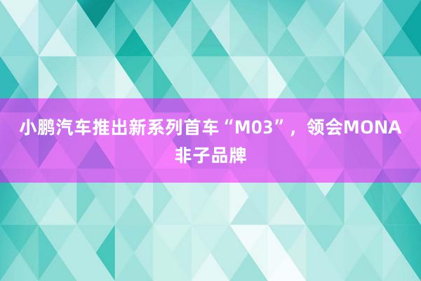 小鹏汽车推出新系列首车“M03”，领会MONA非子品牌