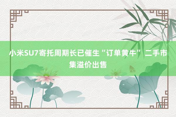 小米SU7寄托周期长已催生“订单黄牛” 二手市集溢价出售