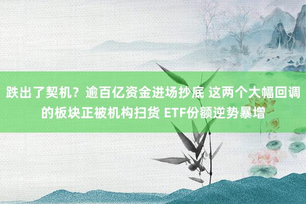 跌出了契机？逾百亿资金进场抄底 这两个大幅回调的板块正被机构扫货 ETF份额逆势暴增