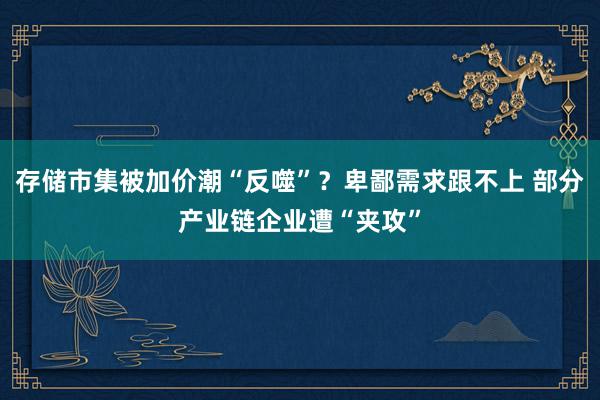 存储市集被加价潮“反噬”？卑鄙需求跟不上 部分产业链企业遭“夹攻”