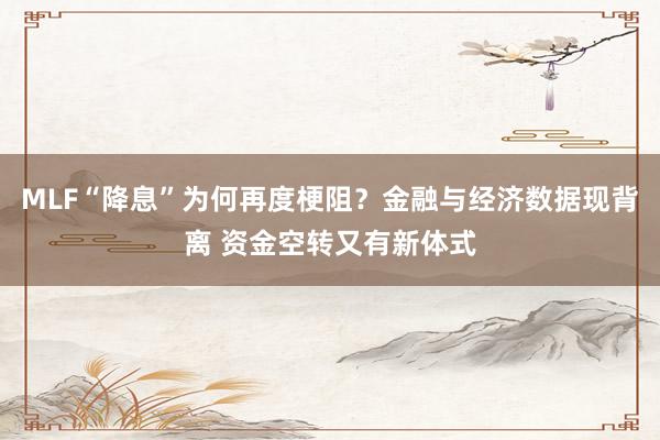 MLF“降息”为何再度梗阻？金融与经济数据现背离 资金空转又有新体式