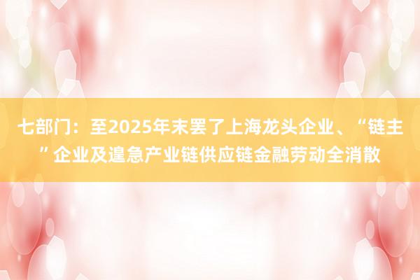 七部门：至2025年末罢了上海龙头企业、“链主”企业及遑急产业链供应链金融劳动全消散