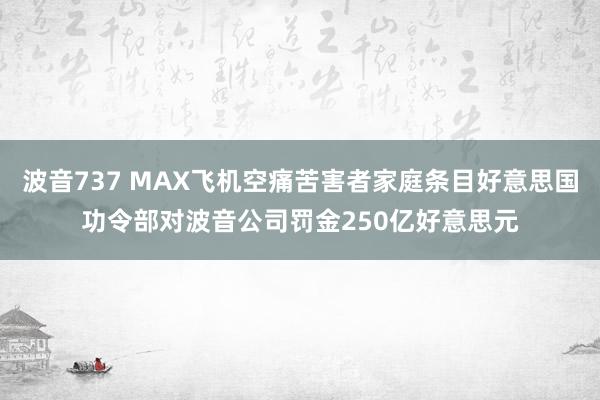 波音737 MAX飞机空痛苦害者家庭条目好意思国功令部对波音公司罚金250亿好意思元