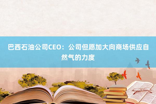 巴西石油公司CEO：公司但愿加大向商场供应自然气的力度