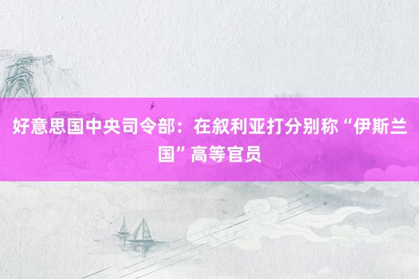 好意思国中央司令部：在叙利亚打分别称“伊斯兰国”高等官员