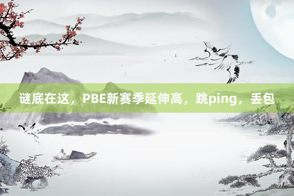 谜底在这，PBE新赛季延伸高，跳ping，丢包