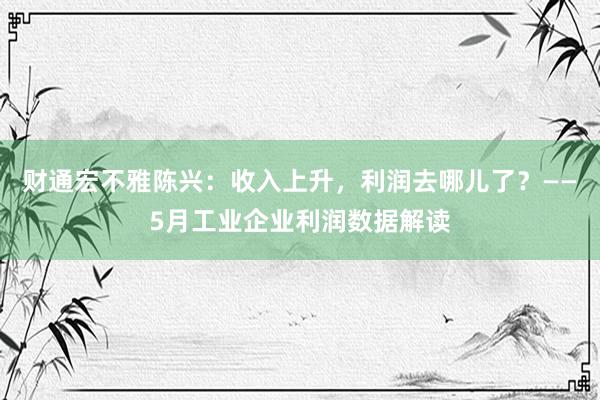 财通宏不雅陈兴：收入上升，利润去哪儿了？——5月工业企业利润数据解读