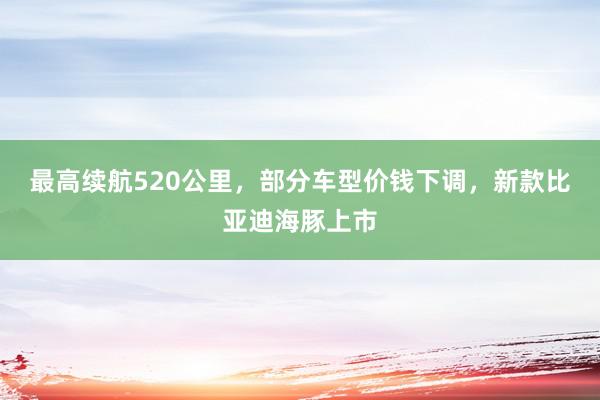 最高续航520公里，部分车型价钱下调，新款比亚迪海豚上市