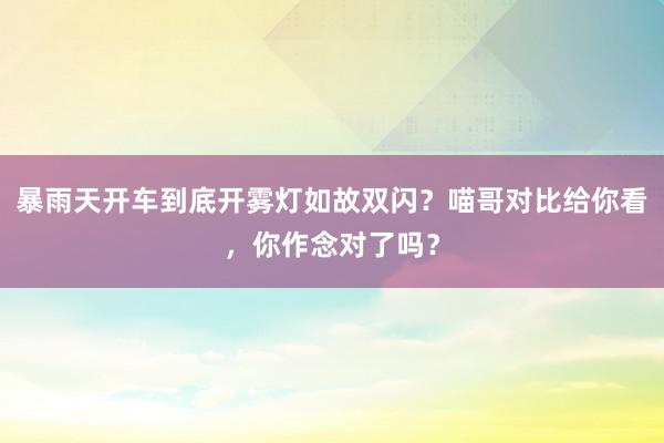 暴雨天开车到底开雾灯如故双闪？喵哥对比给你看，你作念对了吗？