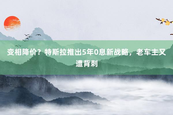 变相降价？特斯拉推出5年0息新战略，老车主又遭背刺