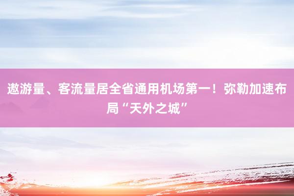 遨游量、客流量居全省通用机场第一！弥勒加速布局“天外之城”