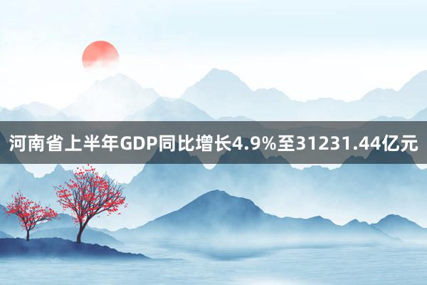 河南省上半年GDP同比增长4.9%至31231.44亿元