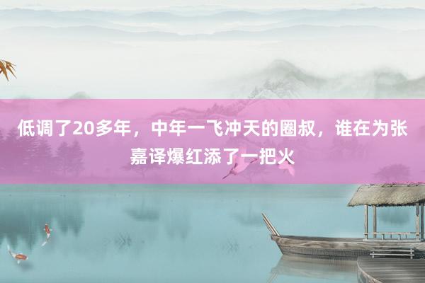 低调了20多年，中年一飞冲天的圈叔，谁在为张嘉译爆红添了一把火