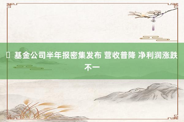 ​基金公司半年报密集发布 营收普降 净利润涨跌不一