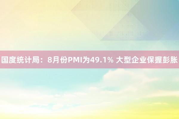 国度统计局：8月份PMI为49.1% 大型企业保握彭胀