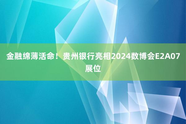 金融绵薄活命！贵州银行亮相2024数博会E2A07展位