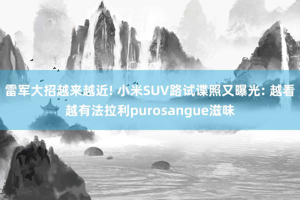 雷军大招越来越近! 小米SUV路试谍照又曝光: 越看越有法拉利purosangue滋味