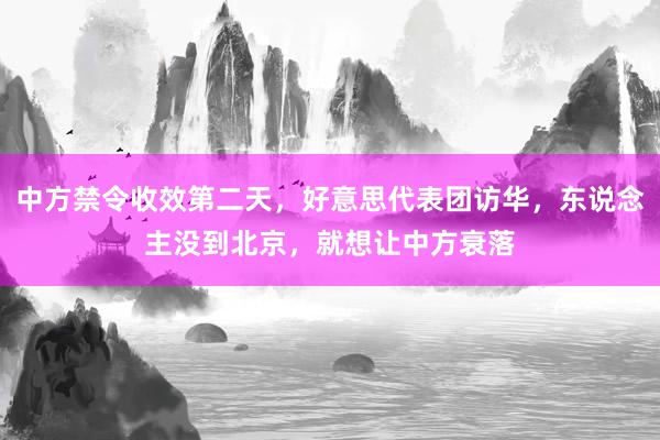 中方禁令收效第二天，好意思代表团访华，东说念主没到北京，就想让中方衰落