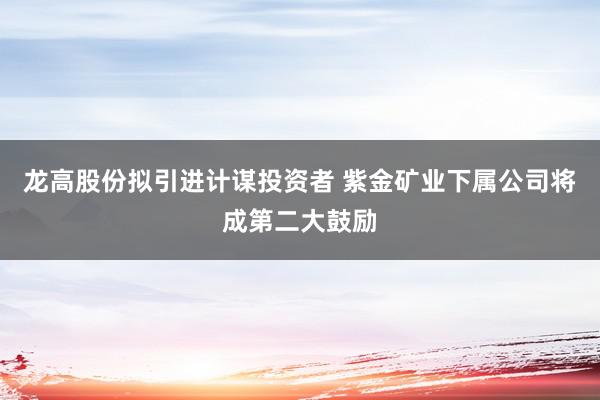 龙高股份拟引进计谋投资者 紫金矿业下属公司将成第二大鼓励