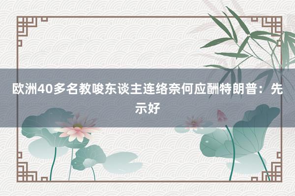 欧洲40多名教唆东谈主连络奈何应酬特朗普：先示好