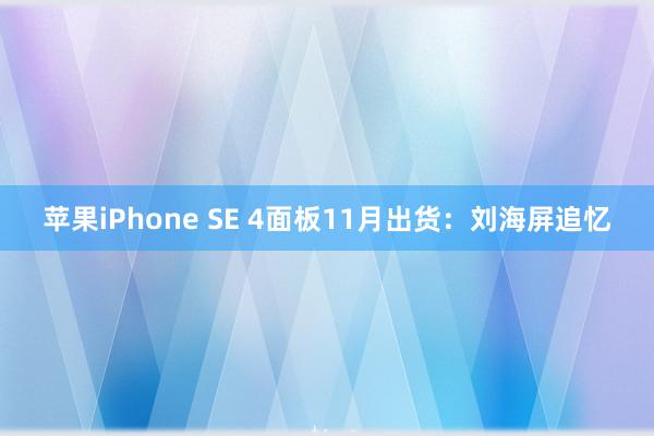 苹果iPhone SE 4面板11月出货：刘海屏追忆